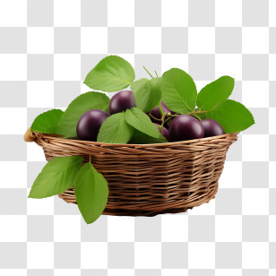 Plum - Basket Of Fresh Plums Transparent PNG
