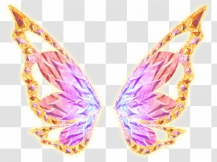 Stella Musa Aisha Tecna Winx Club - Photography - Season 7Fairy Transparent PNG