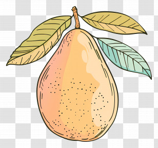 Doodle Mango - Ripe Pear With Leaves Transparent PNG