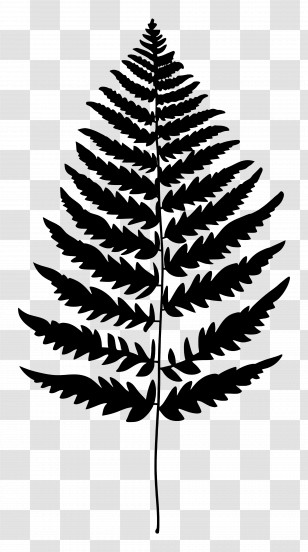 Fern Leaf - Black Silhouette Of A Fern Leaf Transparent PNG