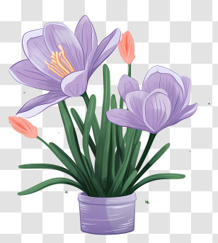 Purple Crocuses - Decorative Crocus Flowers In A Purple Pot Transparent PNG