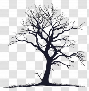 Silhouette Of A Leafless Tree - Silhouette Of A Leafless Tree Transparent PNG