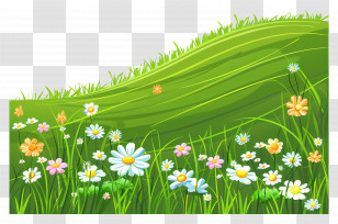 Hill Meadow - Spring Flowers On A Grassy Hill Transparent PNG