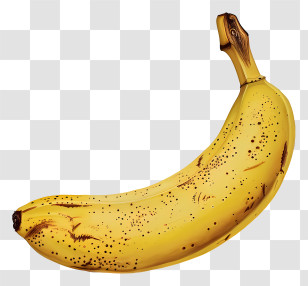 Banana Day - Single Ripe Yellow Banana Illustration Transparent PNG