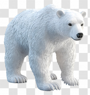Ice Bear - Realistic Polar Bear Illustration Transparent PNG