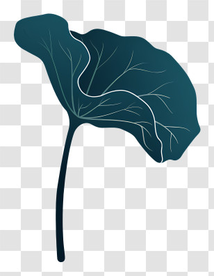 Leaf - Single Leaf With Detailed Veins Transparent PNG