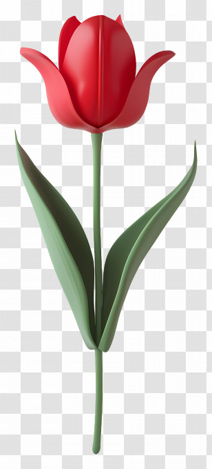 3d Flower - Elegant Red Tulip Flower Transparent PNG
