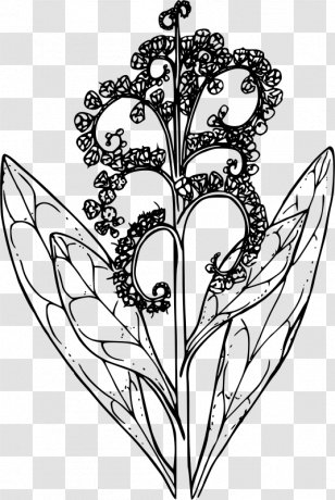 Floral Design Line Art Drawing Clip - Flower Transparent PNG