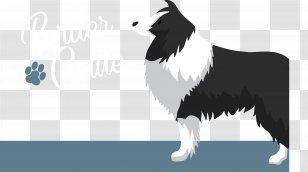 Border Collie Dog breed Fan art Pintura, sr. Pickles, televisão, carnívoro,  cachorro Como mamífero png