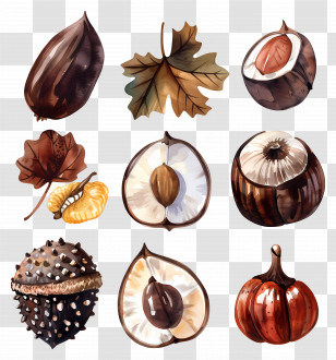 Chestnuts - Autumn Nuts And Leaves Transparent PNG