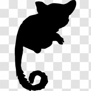 The Long Tail: Why Future Of Business Is Selling Less More Galago - Cat - Mammal Transparent PNG