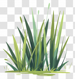 Tall Grass - Lush Grass Patch Illustration Transparent PNG