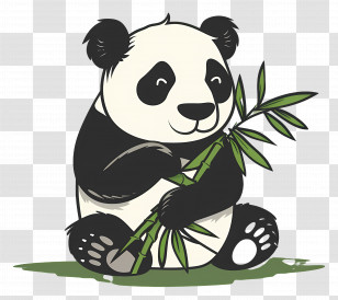 Panda - Adorable Panda Eating Bamboo Illustration Transparent PNG