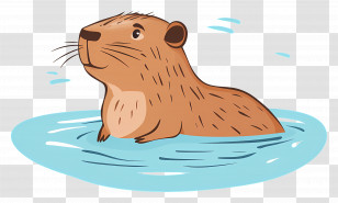 Capybara - Capybara In Water Transparent PNG