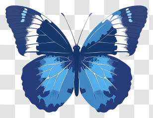 Butterfly Silhouette - Beautiful Blue Butterfly Illustration Transparent PNG