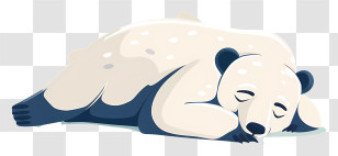 Polar Bear - Sleeping Panda Illustration Transparent PNG