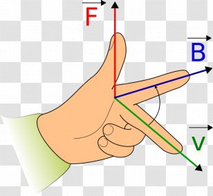 Fleming's Left-hand Rule For Motors Right-hand Magnetic Field Electric  Current - Righthand - Force Vector Transparent PNG