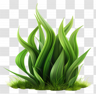 Grass Plant - Lush Green Grass Growing Vibrantly Transparent PNG
