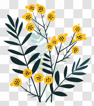Mimosa Flowers - Yellow Berry Branch Illustration Transparent PNG