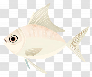 Fish Clipart - Illustrated Pale Fish Design Transparent PNG