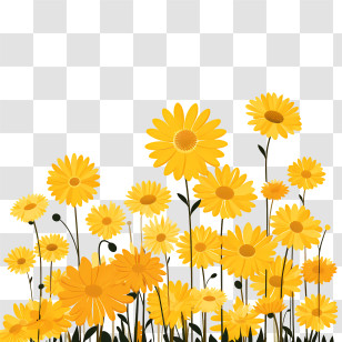 Yellow Flowers - Yellow Flowers In Bloom Transparent PNG