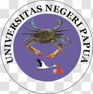Foundation University Of Hawaii At Manoa Student Interamerican Puerto Rico Transparent PNG