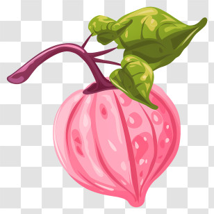 Plant - Pink Fruit With Leaf Transparent PNG