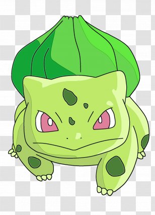 Green Leaf Background - Reptile - Hyla Transparent PNG