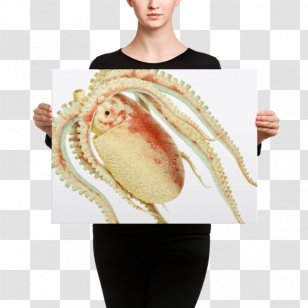 Canvas Print Art Poster Painting - Line - Giuseppe Jatta Transparent PNG