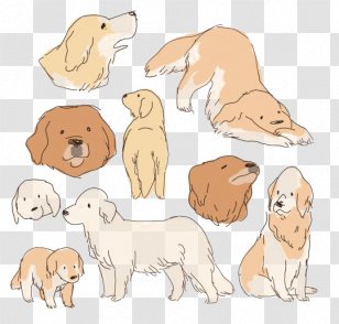 Golden Retriever Labrador Shiba Inu Miniature Pinscher Drawing - Cartoon Transparent PNG