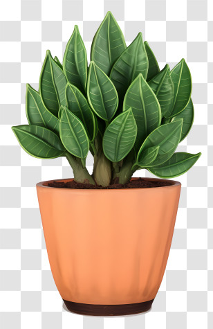 Ficus Tree - Leafy Green Plant In A Terracotta Pot Transparent PNG