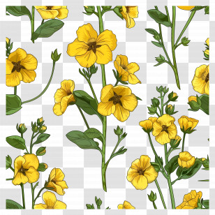 Rapeseed Flowers - Yellow Floral Pattern Botanical Illustration Transparent PNG