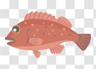 Icon - Cartoon Red Fish With Fins And Spots Transparent PNG
