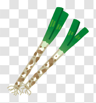 Vegetable - Fresh Green Leeks Transparent PNG