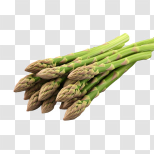 Asparagus - Fresh Bundle Of Green Asparagus Illustration Transparent PNG