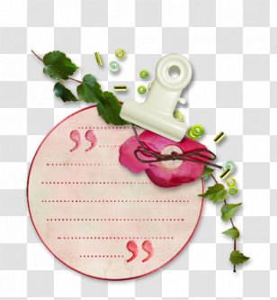 Label 0 Gmail - Biscuits - Manners Transparent PNG