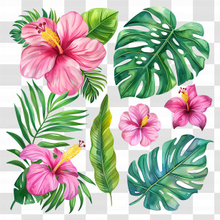 Tropical Flowers - Pink Hibiscus Flowers And Leaf Collection Transparent PNG