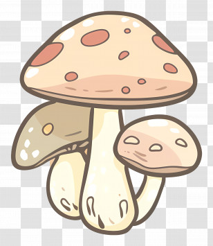 Boletus Mushroom - Whimsical Illustration Of Three Mushrooms Transparent PNG