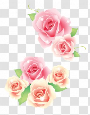 Rose Clip Art Pink Flowers - White - Material Transparent PNG
