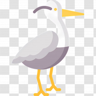 Heron - Standing Bird Transparent PNG
