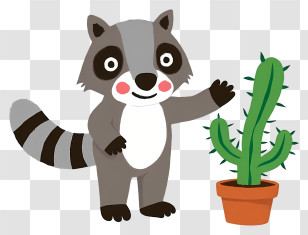 Raccoon Touching Cactus - Friendly Raccoon With Potted Cactus Transparent PNG