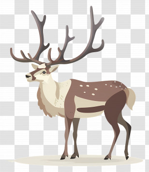 Brown Deer With Antlers - Majestic Brown Deer With Antlers Transparent PNG