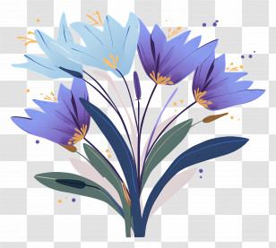 Crocus Flowers - Crocus Flower Bouquet Transparent PNG