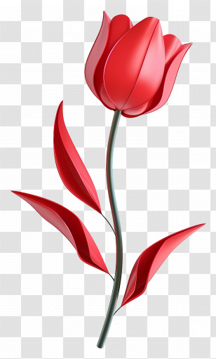 3d Flower - Red Tulip Flower Illustration Transparent PNG