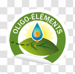Padua Franciscan High School North Carolina Alpine Valley Organization West Lake Street - Michigan - United States Of America Transparent PNG