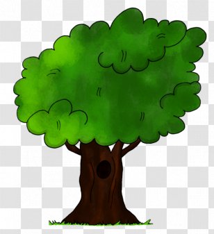 Tree Drawing Paper Visual Arts Transparent PNG