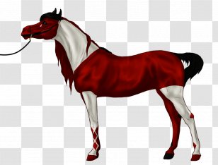 Rein Stallion Mustang Mare Horse Harnesses - Yonni Meyer Transparent PNG