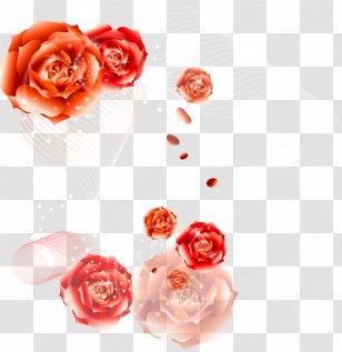 Garden Roses Happy Birthday To You Flower Bouquet Transparent PNG