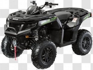 Arctic Cat All-terrain Vehicle Northland Dairy Supply Polaris Industries Powersports - Tree - Artic ATV Com Transparent PNG