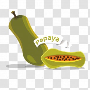 Cantaloupe Papaya Melon - Watermelon - Green Transparent PNG